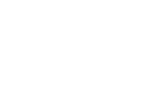 LINTEX Logo